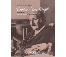 Canlar Ölesi Değil - Demet Taner - Yapı Kredi Yayınları