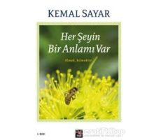 Her Şeyin Bir Anlamı Var - Kemal Sayar - Kapı Yayınları