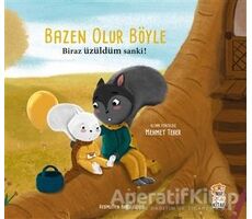 Biraz Üzüldüm Sanki! - Bazen Olur Böyle - Mehmet Teber - Sincap Kitap