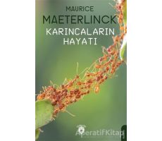 Karıncaların Hayatı - Maurice Maeterlinck - Dorlion Yayınları