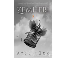 Zemheri - Ayşe Türk - Cinius Yayınları