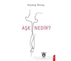 Aşk Nedir? - Zeynep Havuç - Dorlion Yayınları