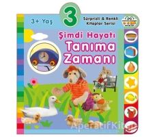 3+ Yaş Şimdi Hayatı Tanıma Zamanı - Kolektif - 0-6 Yaş Yayınları