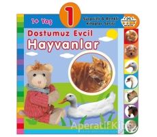 1+ Yaş Dostumuz Evcil Hayvanlar - Kolektif - 0-6 Yaş Yayınları