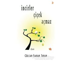 İncirler Çiçek Açmaz - Gülcan Baran Turan - Cinius Yayınları
