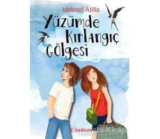 Yüzümde Kırlangıç Gölgesi - Mehmet Atilla - Tudem Yayınları