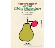 Armut Dibine Düşmeyince - Andrew Solomon - Yapı Kredi Yayınları