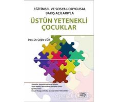 Eğitimsel ve Sosyal - Duygusal Bakış Açılarıyla Üstün Yetenekli Çocuklar