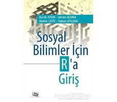 Sosyal Bilimler İçin Ra Giriş - Walter Leite - Anı Yayıncılık