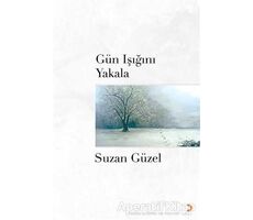 Gün Işığını Yakala - Suzan Güzel - Cinius Yayınları