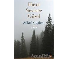 Hayat Sevince Güzel - Şükrü Çiğdem - Cinius Yayınları