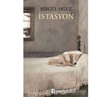 İstasyon - Birgül Oğuz - Metis Yayınları