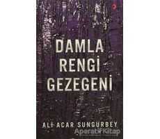 Damla Rengi Gezegeni - Ali Acar Sungurbey - Cinius Yayınları