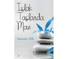 Islak Taşlarda Mavi - Yasemin Telli - Cinius Yayınları