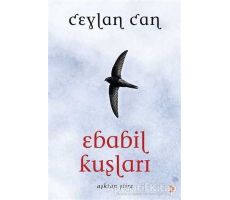 Ebabil Kuşları - Ceylan Can - Cinius Yayınları