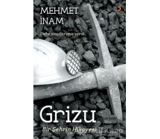 Grizu Bir Şehrin Hikayesi - Mehmet İnam - Cinius Yayınları