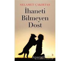 İhaneti Bilmeyen Dost - Selamet Çakırtaş - Cinius Yayınları