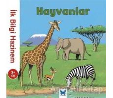 İlk Bilgi Hazinem - Hayvanlar - Stephanie Ledu - Mavi Kelebek Yayınları