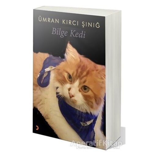 Bilge Kedi - Ümran Kırcı Şınığ - Cinius Yayınları