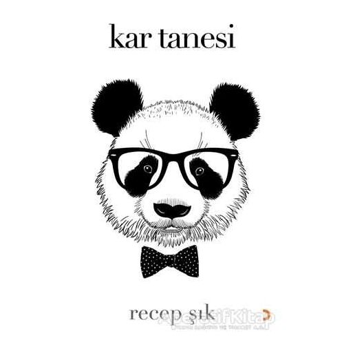 Kar Tanesi - Recep Şık - Cinius Yayınları