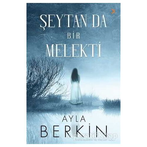 Şeytan da Bir Melekti - Ayla Berkin - Cinius Yayınları