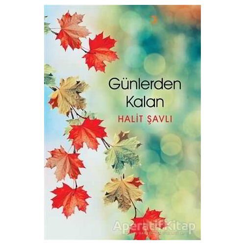 Günlerden Kalan - Halit Şavlı - Cinius Yayınları