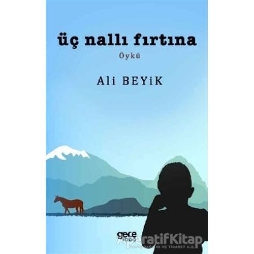 Üç Nallı Fırtına - Ali Beyik - Gece Kitaplığı