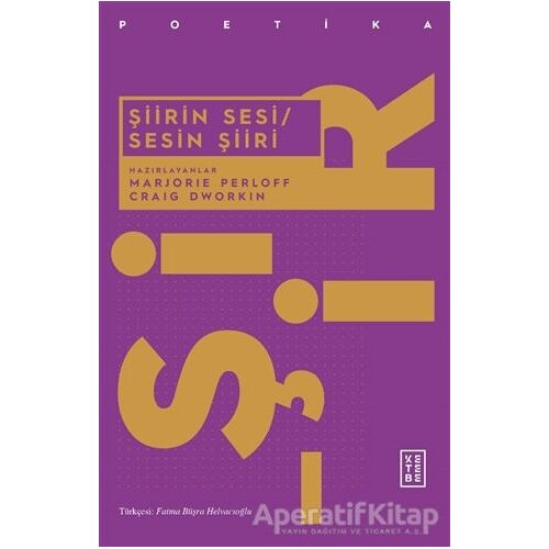 Şiirin Sesi - Sesin Şiiri - Craig Dworkin - Ketebe Yayınları