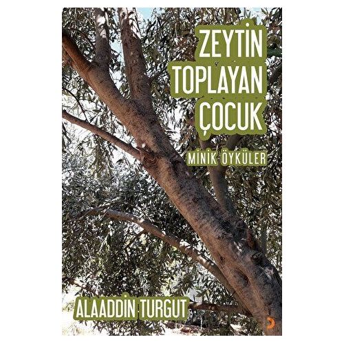 Zeytin Toplayan Çocuk - Alaaddin Turgut - Cinius Yayınları