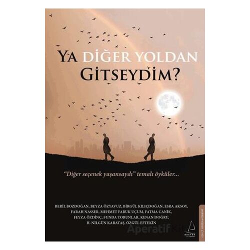 Ya Diğer Yoldan Gitseydim? - Zuhal Gürçimen - Destek Yayınları