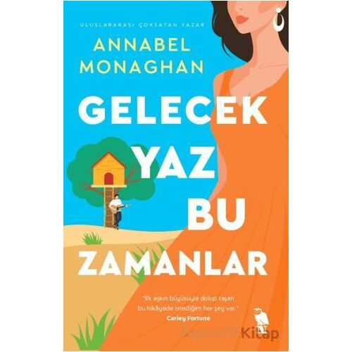 Gelecek Yaz Bu Zamanlar - Annabel Monaghan - Nemesis Kitap