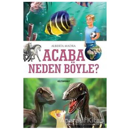 Acaba Neden Böyle? - Alberta Madra - Kültürperest Yayınevi