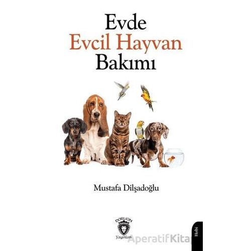 Evde Evcil Hayvan Bakımı - Mustafa Dilşadoğlu - Dorlion Yayınları