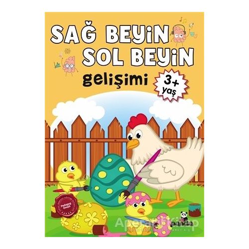 Sağ Beyin - Sol Beyin Gelişimi +3 Yaş - Kolektif - Beyaz Panda Yayınları