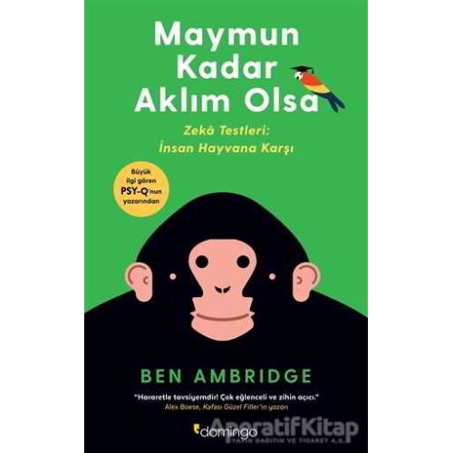 Maymun Kadar Aklım Olsa - Ben Ambridge - Domingo Yayınevi