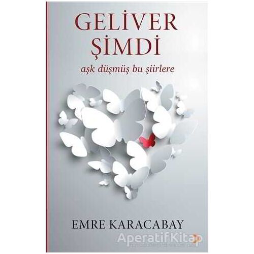 Geliver Şimdi - Emre Karacabay - Cinius Yayınları