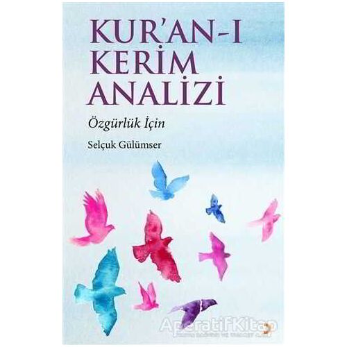 Kur’an-ı Kerim Analizi - Selçuk Gülümser - Cinius Yayınları