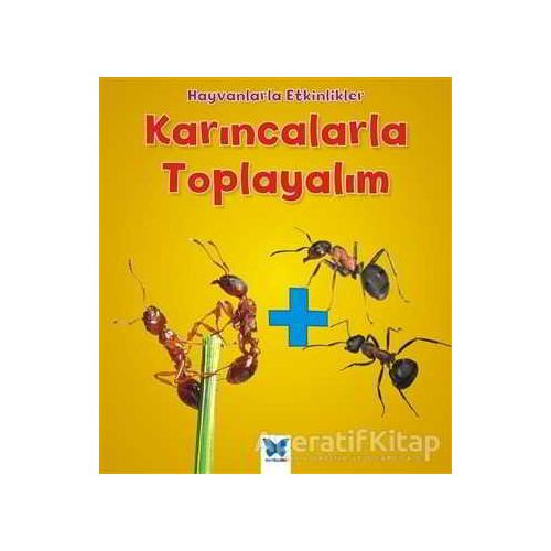 Karıncalarla Toplayalım - Tracey Steffora - Mavi Kelebek Yayınları